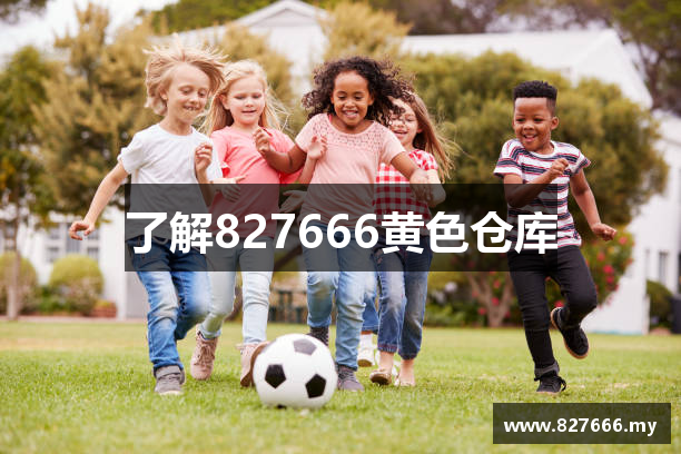 了解827666黄色仓库